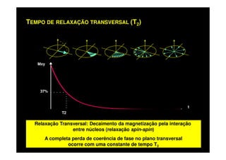 TEMPO DE RELAXAÇÃO TRANSVERSAL (T2)
Mxy
37%
T2
t
Relaxação Transversal: Decaimento da magnetização pela interação
entre núcleos (relaxação spin-spin)
A completa perda de coerência de fase no plano transversal
ocorre com uma constante de tempo T2
Relaxação Transversal: Decaimento da magnetização pela interação
entre núcleos (relaxação spin-spin)
A completa perda de coerência de fase no plano transversal
ocorre com uma constante de tempo T2
 
