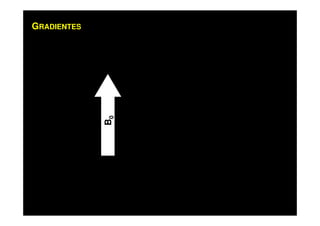 GRADIENTES
B0
 