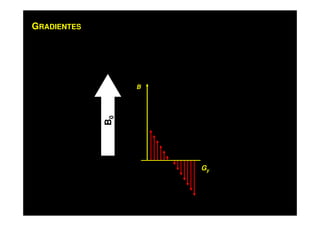 GRADIENTES
B
Gy
B0
 