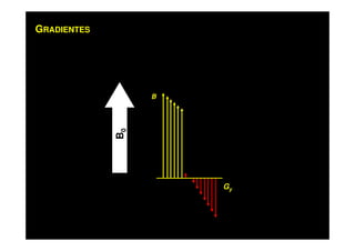 GRADIENTES
B
Gy
B0
 