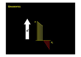 GRADIENTES
B
Gy
B0
 