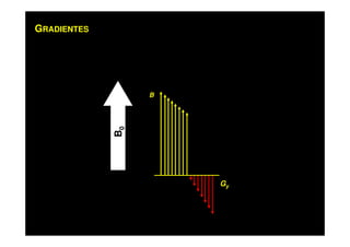 GRADIENTES
B
Gy
B0
 