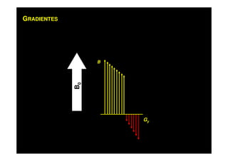 GRADIENTES
B
Gy
B0
 