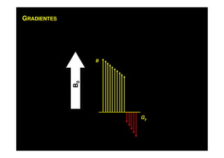 GRADIENTES
B
Gy
B0
 