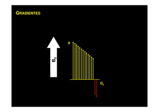 GRADIENTES
B
Gy
B0
 