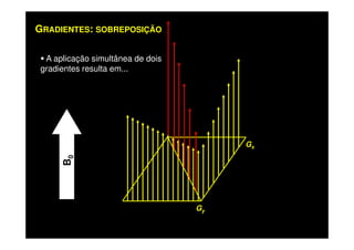 GRADIENTES: SOBREPOSIÇÃO
A aplicação simultânea de dois
gradientes resulta em...
Gy
B0
Gx
 