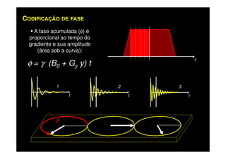 CODIFICAÇÃO DE FASE
t
A fase acumulada (φ) é
proporcional ao tempo do
gradiente e sua amplitude
(área sob a curva):
φ = γ (B0 + Gy y) t
3
t
2
t
1
t
φφφφ
 