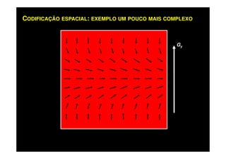 CODIFICAÇÃO ESPACIAL: EXEMPLO UM POUCO MAIS COMPLEXO
Gy
 