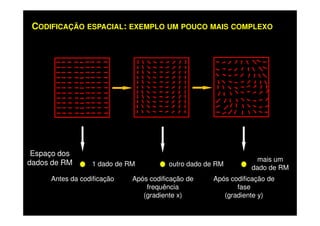 CODIFICAÇÃO ESPACIAL: EXEMPLO UM POUCO MAIS COMPLEXO
Espaço dos
dados de RM 1 dado de RM
Após codificação de
frequência
(gradiente x)
Após codificação de
fase
(gradiente y)
Antes da codificação
outro dado de RM
mais um
dado de RM
 