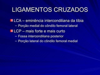 LIGAMENTOS CRUZADOS LCA – eminência intercondiliana da tíbia Porção medial do côndilo femoral lateral LCP – mais forte e mais curto Fossa intercondiliana posterior Porção lateral do côndilo femoral medial 