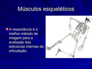 Músculos esqueléticos A ressonância é o melhor método de imagem para a avaliação das estruturas internas da articulação.  