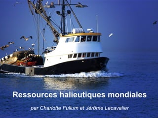Ressources halieutiques mondiales par Charlotte Fullum et Jérôme Lecavalier 