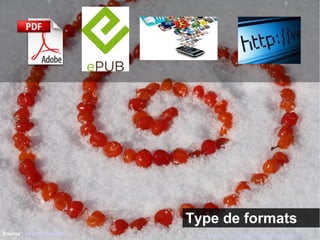 Type de formats 
Source : Hubert Guillaud http://www.flickr.com/photos/jardindemarandon/5293526915 
 