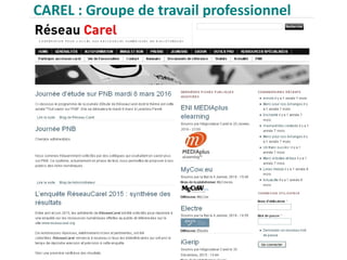 CAREL : Groupe de travail professionnel
 
