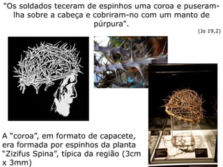 "Os soldados teceram de espinhos uma coroa e puseram-
lha sobre a cabeça e cobriram-no com um manto de
púrpura".
(Jo 19,2)
A “coroa”, em formato de capacete,
era formada por espinhos da planta
“Zizifus Spina”, típica da região (3cm
x 3mm)
 