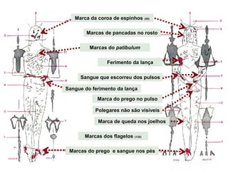 Sangue do ferimento da lança
Marcas do prego e sangue nos pés
Marca do prego no pulso
Sangue que escorreu dos pulsos
Marcas dos flagelos (120)
Marcas do patibulum
Marcas de pancadas no rosto
Marca da coroa de espinhos (50)
Marca de queda nos joelhos
Ferimento da lança
Polegares não são visíveis
 