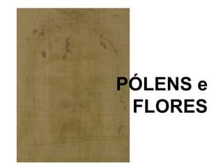 PÓLENS e
FLORES
 