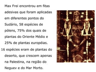 Max Frei encontrou em fitas
adesivas que foram aplicadas
em diferentes pontos do
Sudário, 58 espécies de
pólens, 75% dos quais de
plantas do Oriente Médio e
25% de plantas européias. 16
espécies eram de plantas do
deserto, que crescem apenas
na Palestina, na região do
Neguev e do Mar Morto.
 