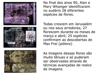No final dos anos 90, Alan e
Mary Whanger identificaram
no sudário 28 diferentes
espécies de flores.
Todas crescem em Jerusalém
ou nos seus arredores; 27
florescem durante os meses de
março e abril; 25 espécies
confirmam as descobertas de
Max Frei (pólens)
As imagens dessas flores são
muito tênues e só puderam
ser observadas através de
técnicas avançadas de realce
de imagens.
 