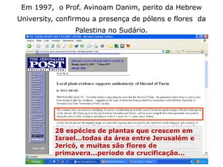 Se o Sudário fosse um objeto medieval (1290-
1360), que nunca esteve fora da Europa, como se
explicam os pólens e as plantas do Oriente Médio
que nele foram encontrados?
Em 1997, o Prof. Avinoam Danim, perito da Hebrew
University, confirmou a presença de pólens e flores da
Palestina no Sudário.
28 espécies de plantas que crescem em
Israel...todas da área entre Jerusalém e
Jericó, e muitas são flores de
primavera...período da crucificação...
 