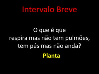 Intervalo Breve
O que é que
respira mas não tem pulmões,
tem pés mas não anda?
Planta
 