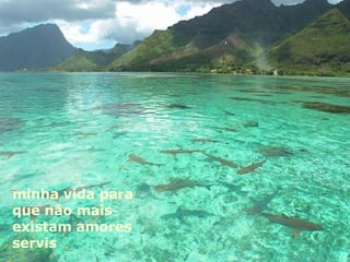 minha vida para que não mais existam amores servis 