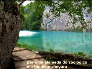 por uma alameda do zoológico ela também chegará 