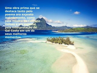 Uma obra prima que se destaca tanto pelo poema ora exposto isoladamente, como pela música de Caetano Veloso e em especial pela interpretação de Gal Costa em um de seus melhores momentos. 