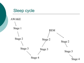 Sleep cycle Stage 1 Stage 2 Stage 3 Stage 4 Stage 3 Stage 2 REM Stage 2 Stage 3 Stage 4 AWAKE 