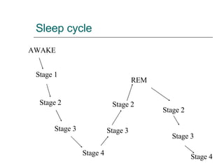 Sleep cycle Stage 1 Stage 2 Stage 3 Stage 4 Stage 3 Stage 2 REM Stage 2 Stage 3 Stage 4 AWAKE 