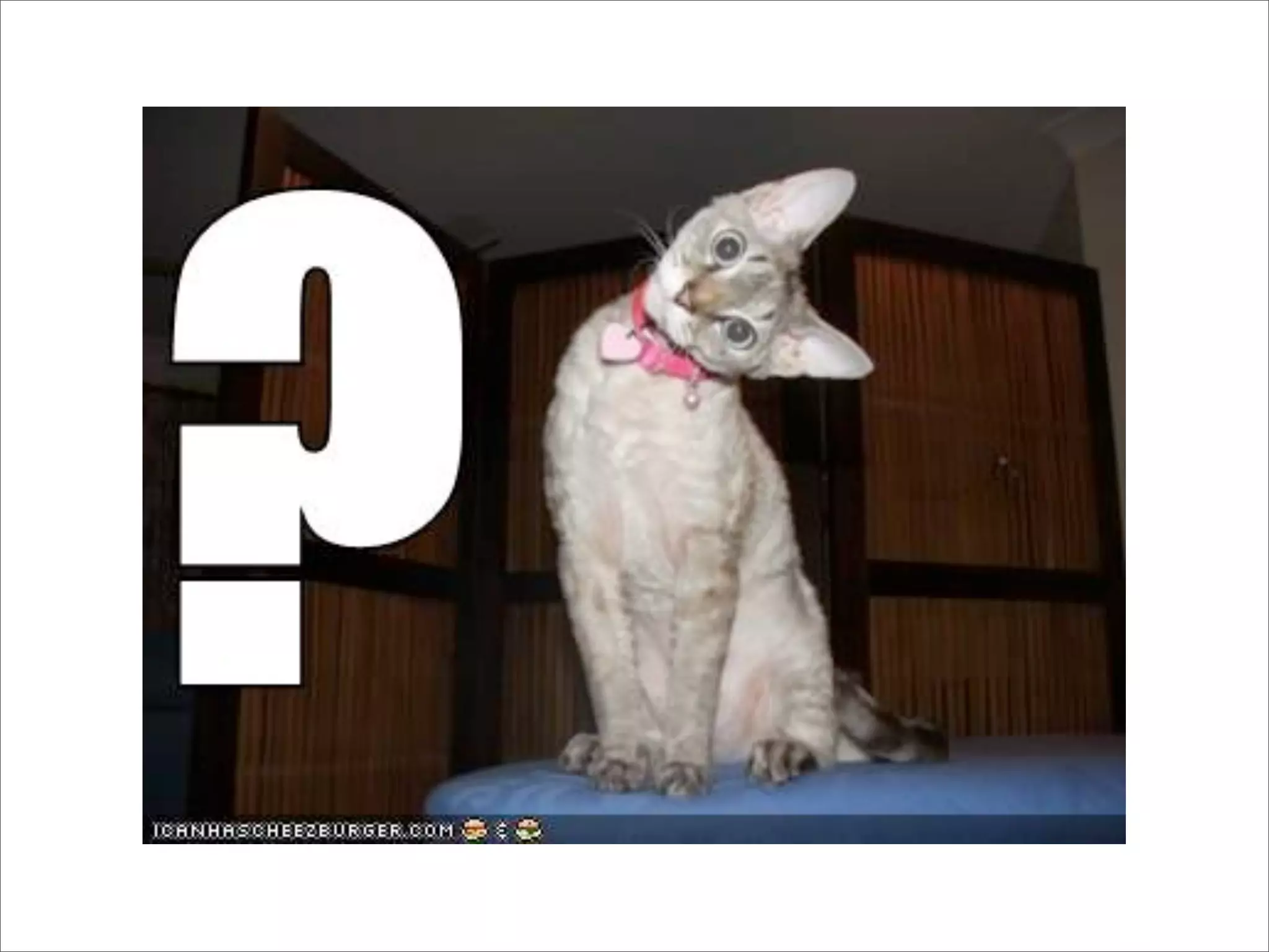 REST: putting the web back in to web services