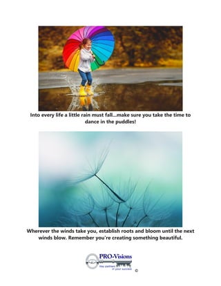 ©
Into every life a little rain must fall...make sure you take the time to
dance in the puddles!
Wherever the winds take you, establish roots and bloom until the next
winds blow. Remember you're creating something beautiful.
 