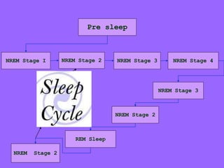 NREM Stage I NREM Stage 2 NREM Stage 3 NREM Stage 4
Pre sleep
NREM Stage 3
NREM Stage 2
REM Sleep
NREM Stage 2
 