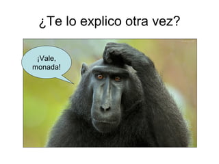 ¿Te lo explico otra vez?

 ¡Vale,
monada!
 