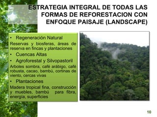  Manejo del Bosque Natural y Restauración en Nicaragua