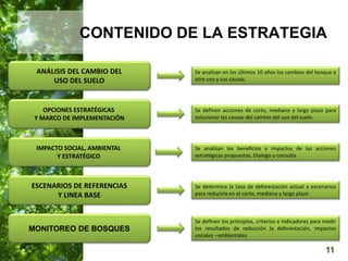  Manejo del Bosque Natural y Restauración en Nicaragua