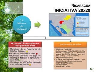 13
NICARAGUA
INICIATIVA 20x20
Al menos 29 municipios en
las siguientes áreas
• Municipios de la Reserva de de
Biósfera Bos...