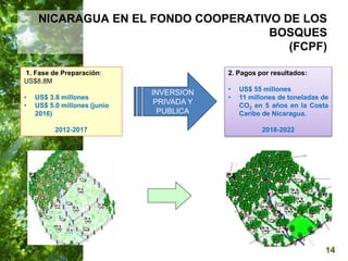  Manejo del Bosque Natural y Restauración en Nicaragua