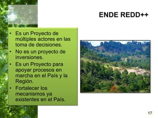  Manejo del Bosque Natural y Restauración en Nicaragua