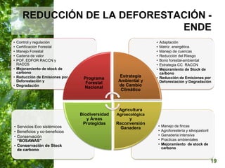  Manejo del Bosque Natural y Restauración en Nicaragua