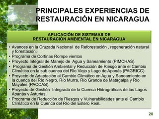  Manejo del Bosque Natural y Restauración en Nicaragua