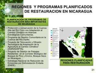 21
REGIONES Y PROGRAMAS PLANIFICADOS
DE RESTAURACION EN NICARAGUA
PLANIFICACIÓN DE PROGRAMAS DE
RESTAURACIÓN MÁS IMPORTANT...