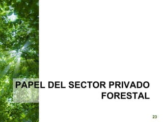  Manejo del Bosque Natural y Restauración en Nicaragua