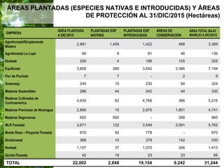  Manejo del Bosque Natural y Restauración en Nicaragua