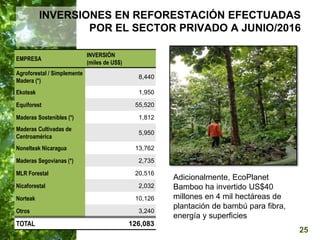  Manejo del Bosque Natural y Restauración en Nicaragua