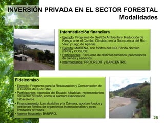  Manejo del Bosque Natural y Restauración en Nicaragua