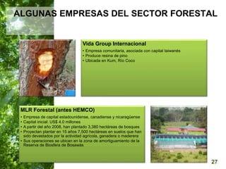  Manejo del Bosque Natural y Restauración en Nicaragua