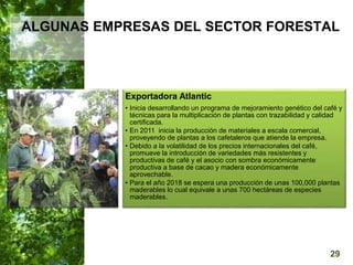  Manejo del Bosque Natural y Restauración en Nicaragua