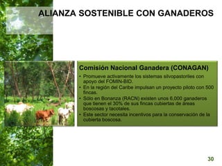  Manejo del Bosque Natural y Restauración en Nicaragua