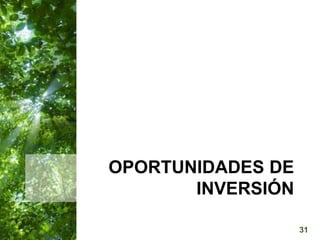  Manejo del Bosque Natural y Restauración en Nicaragua